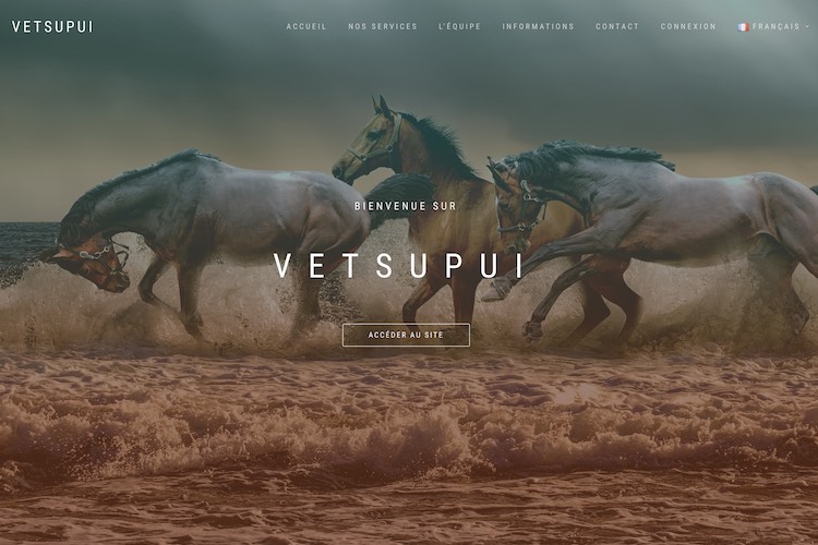 VetsupUI | Application web : https://www.vetsupui.com